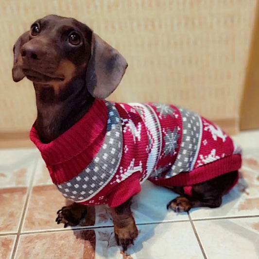 Sweater for Small Dogs