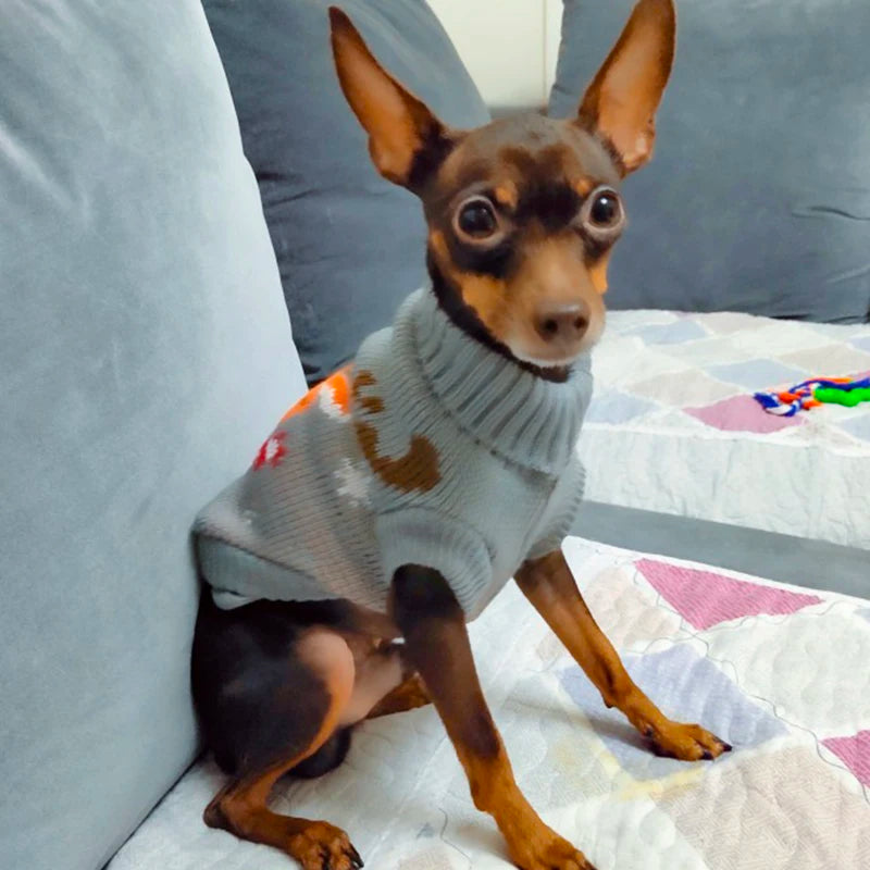 Sweater for Small Dogs