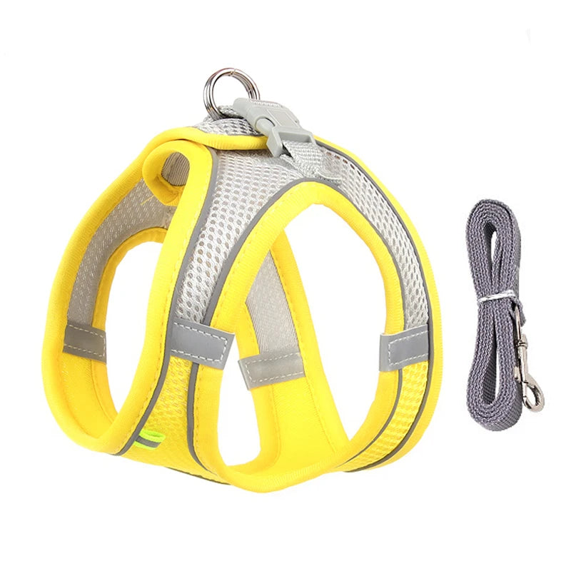 Dog Harness and Leash Set