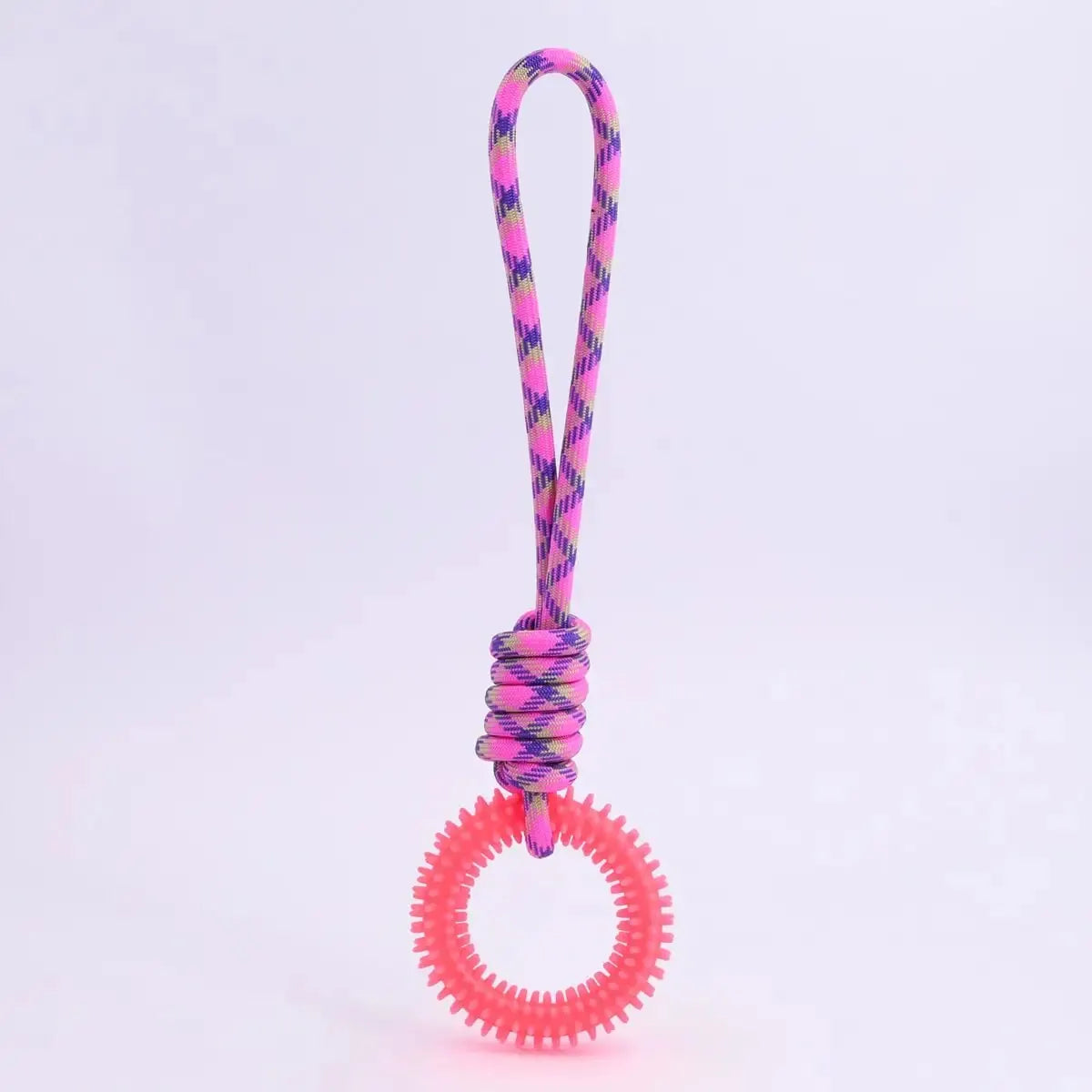 Interactive Training Pet Toy Ring