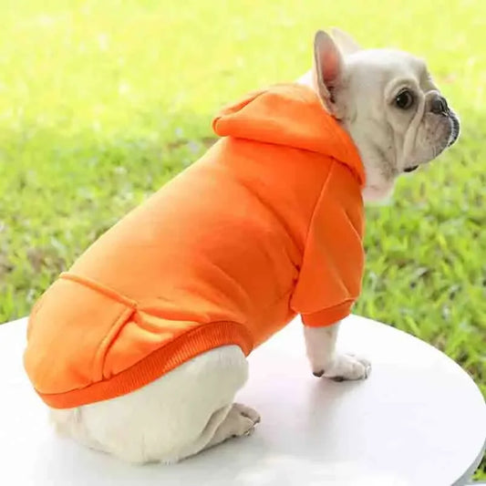 Winter Warm Dog Hoodie