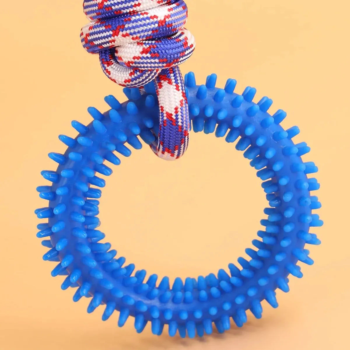 Interactive Training Pet Toy Ring