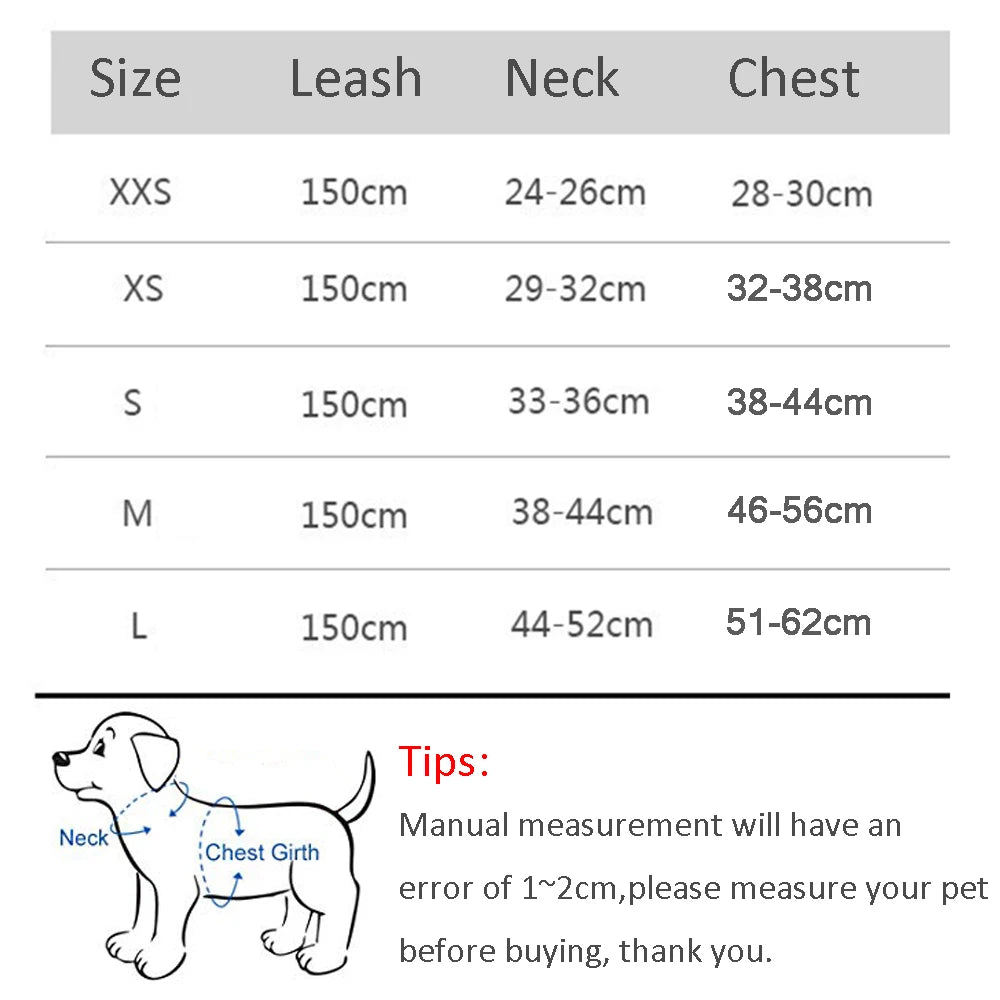 Dog Harness and Leash Set