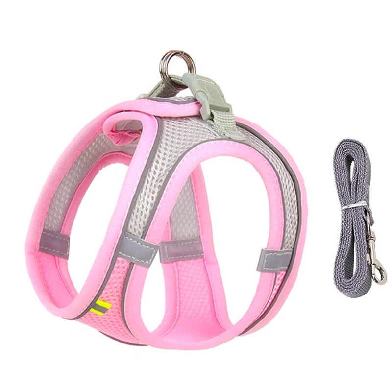 Dog Harness and Leash Set