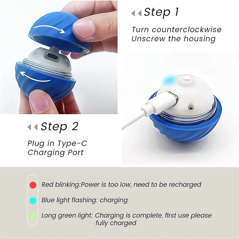 Interactive Pet Toy Ball