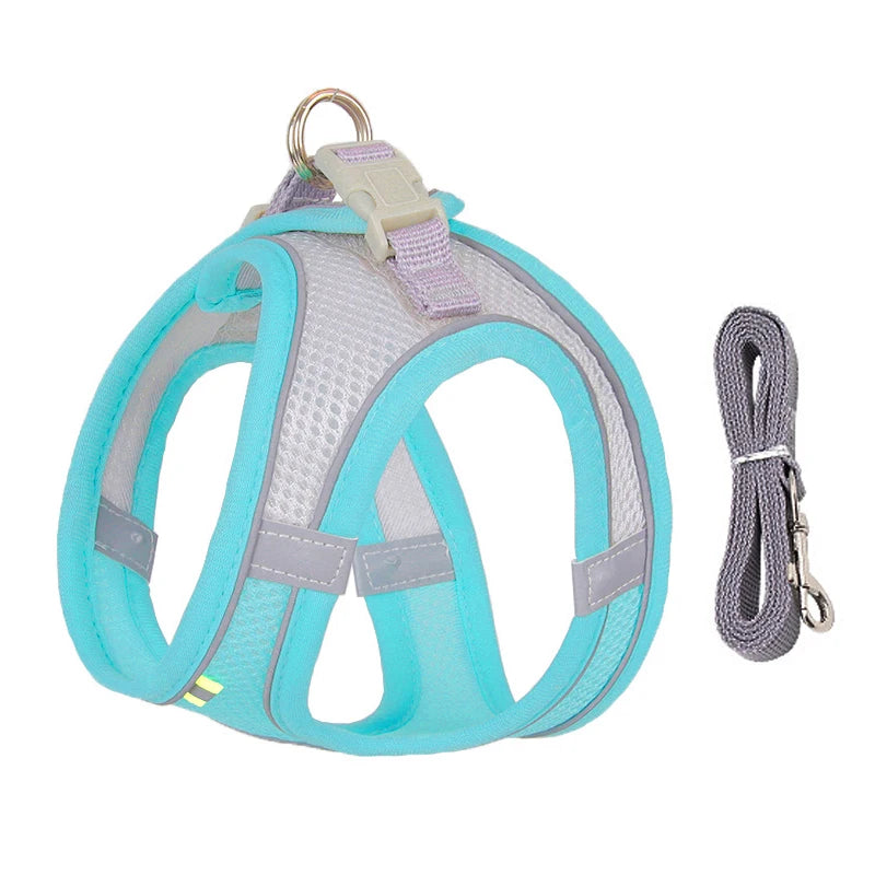 Dog Harness and Leash Set