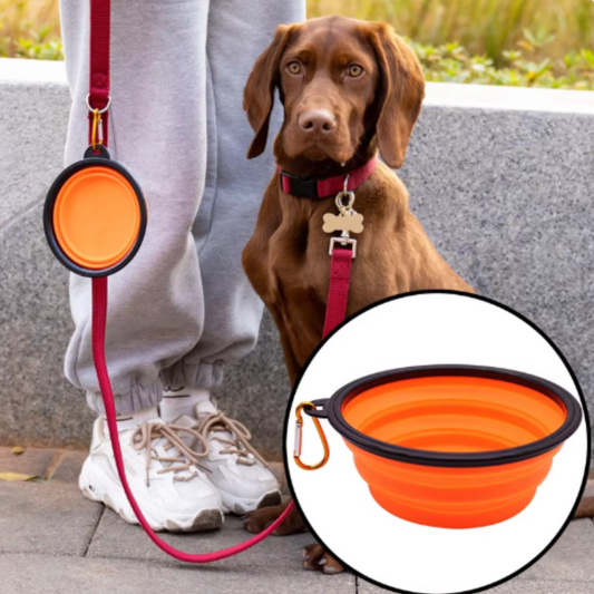 Portable Silicone Dog Feeder Bowl