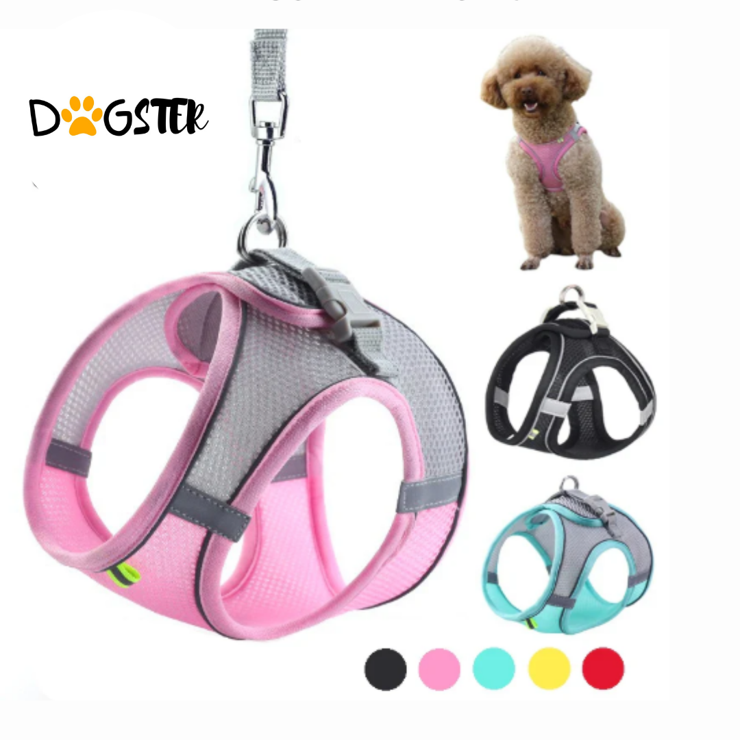 Dog Harness and Leash Set